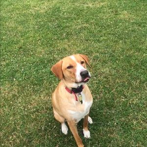 Meet your Posher, Lourd